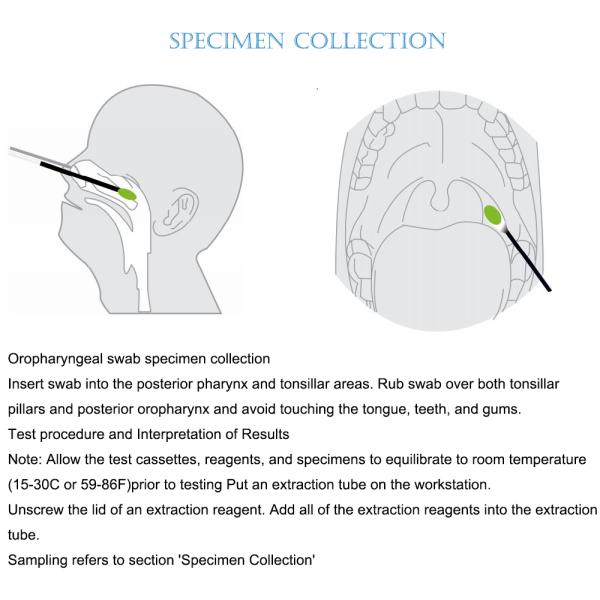Saliva Medical Diagnostic Antigen Swab Test Kit Nasal Swab