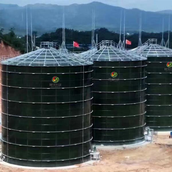 Dung Gas Plant Human Waste Biogas Plant Anaerobic Digestion Power Plant