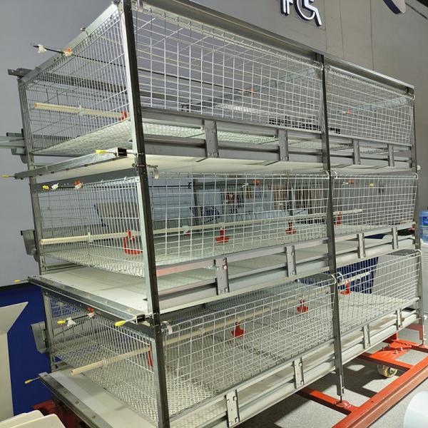 Equipamento de cultivo das aves domésticas da série do HDG 4 para os produtos 200birds/Cage das grelhas