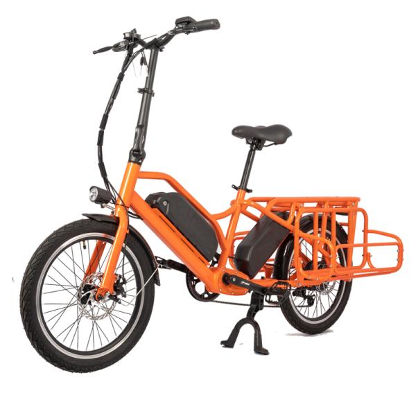 Family E-cargo Electric Bike with 20