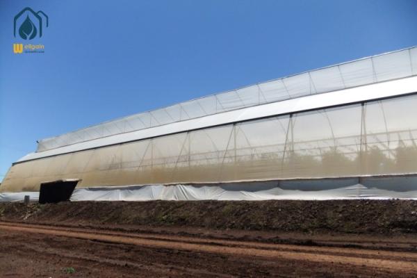 Energy Efficient Tropical Multispan Green House With Temperature And Humidity Regulation