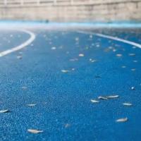 Anti 1 UV - a pista de atletismo de 3mm EPDM granulou a trilha de 400 medidores