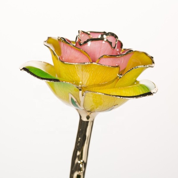 2024 Updated 24k Gold Plated Rose  Valentine Mother Day Gifts Handmade Preserved Rose Eternal Rose