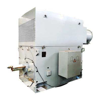 Yxkk / Yxks Circulating Pump Motor 6kv Three Phase Asynchronous Motor
