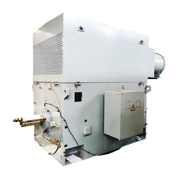 Gaiola de esquilo Volage alto do motor elétrico refrigerar de água do ar de Yks ISO9001