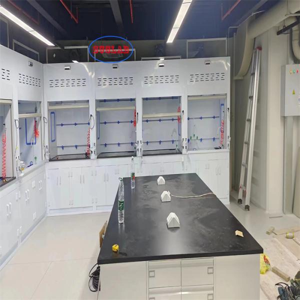 Customized Chemical Fume Hood Laboratory Fume Cupboard With Scrubber for Clean Environments Noise ≤60dB