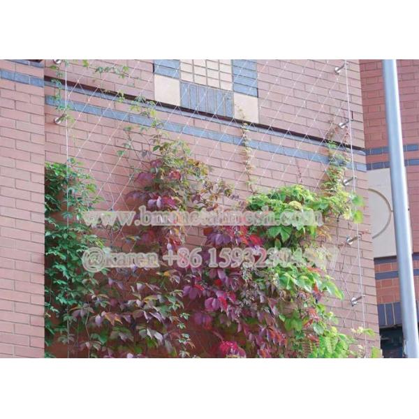 Stainless Steel Flexible Rope Mesh for Garden Climbing plants