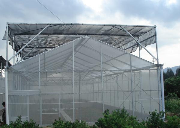 Customizable Commercial Polycarbonate Greenhouse High Shoulder For Agriculture