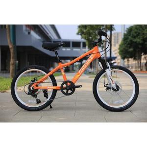 Bicicleta infantil de 20 polegadas Quadro de cauda macia Rodas de treinamento