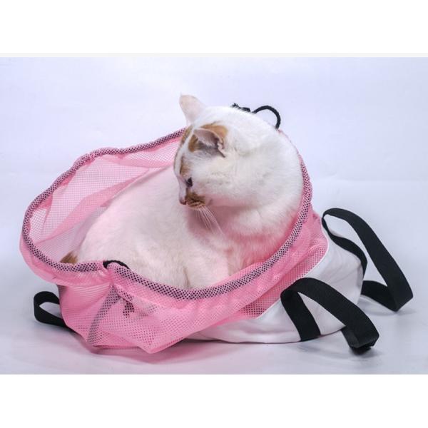  				Hot Summer Mesh Breathe Kitty Handbags Nylon Cat Outdoor Carrier 	        