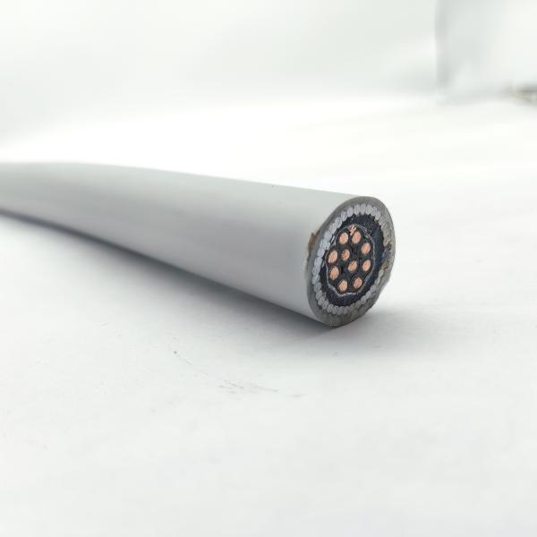 Instrumentation Cable 300/500V CU/MGT/XLPE/OS/FR/LSZH/GSWA/LSZH 10х1