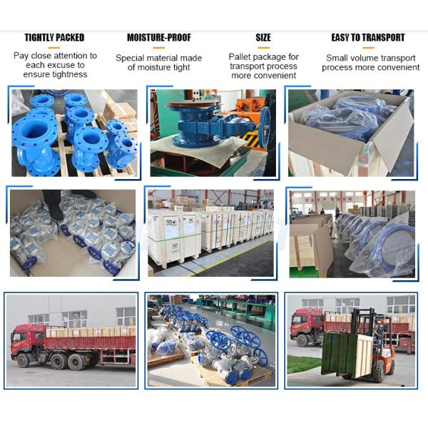 Полное свидетельство Бабочья клапан DIN BS JIS Flange DI CI WCB корпус двойной фланцевой клапан