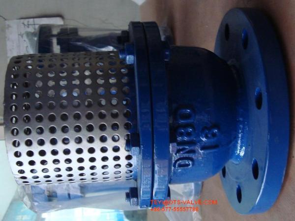 Cast Iron Flange Strainer Foot Valve 8'' With Stainless Steel Screen