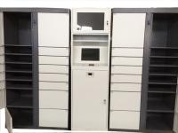 Armarios elegantes electrónicos de la entrega del paquete para la entrega en línea de las compras de la universidad