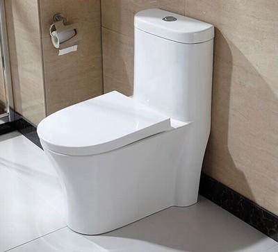 10 Inch Rough In One Piece Elongated Toilet Dual Flush Wall Mounted
