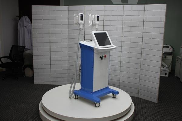 15 inch big screen cryolipolysis slimming machine in best price