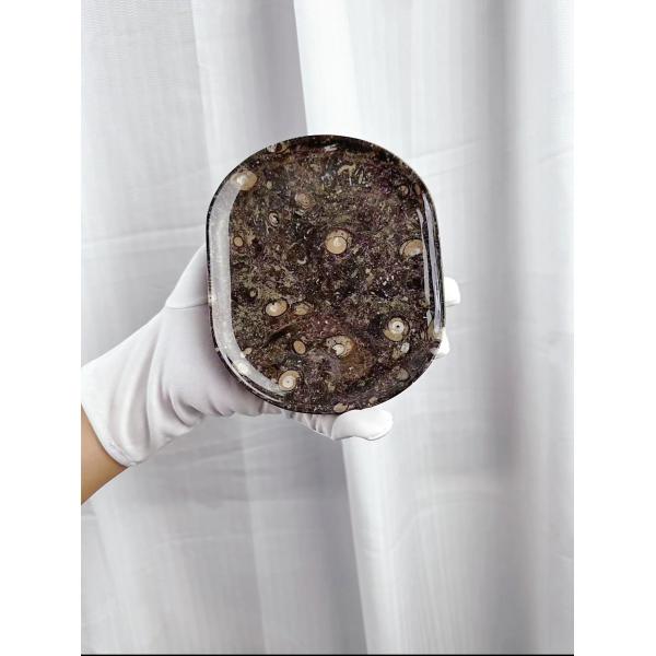 Italy Canghai Jurassic Marble Stone Plate Marble Dish Tray Scratch Resistant Aesthetic