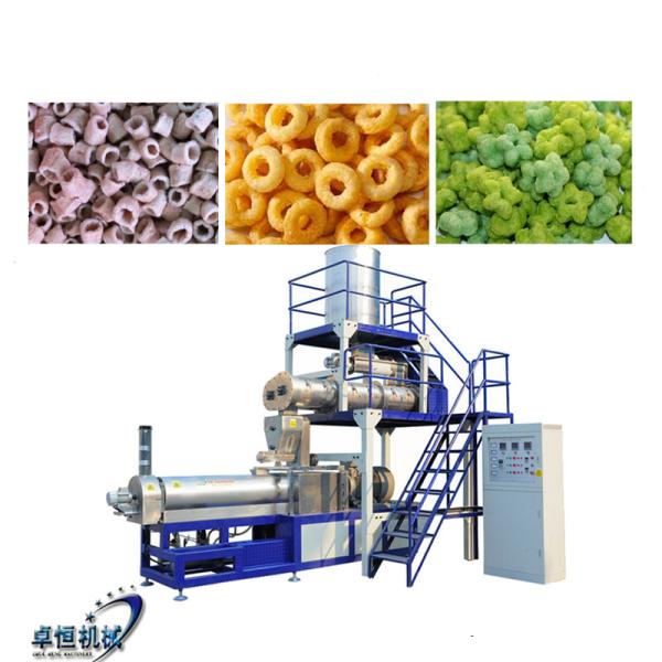 Extrusora de parafusos duplos totalmente automática para linha de produção de lanches de arroz de milho