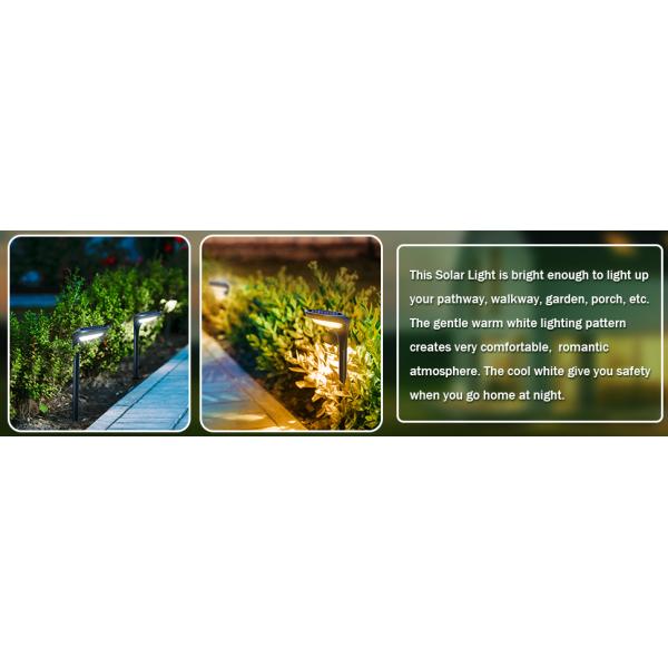 High End DC6V Solar Powered Outdoor Landscape Lights / 50 Lumen Solar Spotlight