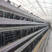 Gaiola de bateria galvanizada das aves domésticas de H410mm, equipamento da colocação de ovo 494cm2/Bird