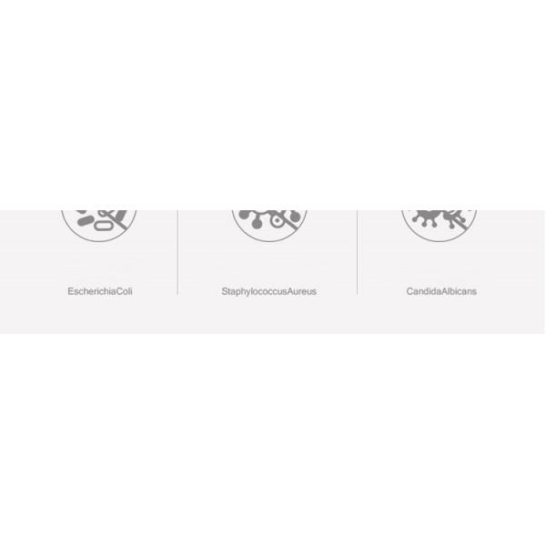 4 Layers Leak Proof Period Underwear Absorbent Seamless Period Underwear