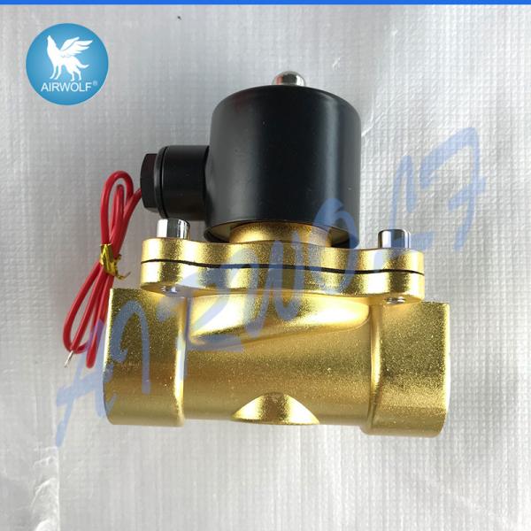 2W250-25 Water Solenoid Valves 2/2 Way AC220v DC24V