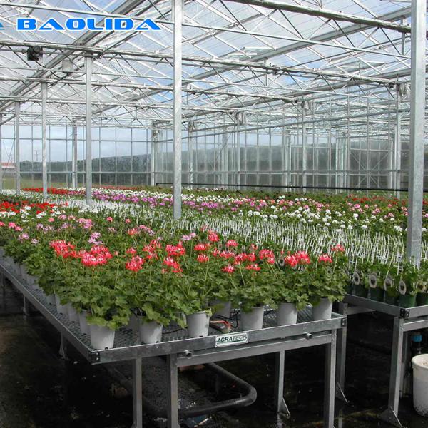 Estufas da tecnologia do jogo da estufa do filme de polietileno do berçário da planta/exploração agrícola