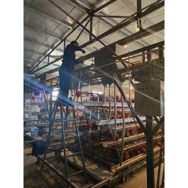 Бесплатный Дом Руководство 4 уровень А Тип Яйцевой слой Куриная клетка 160 Птицы Вместимость