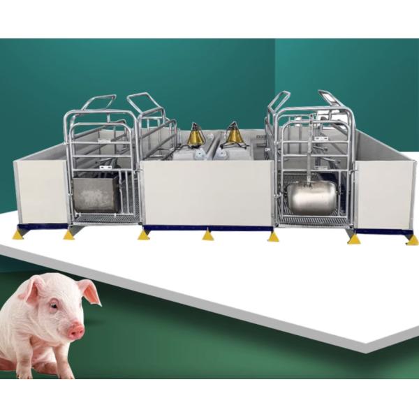 High Durability Livestock Farm Equipment With Automatic Drinking System