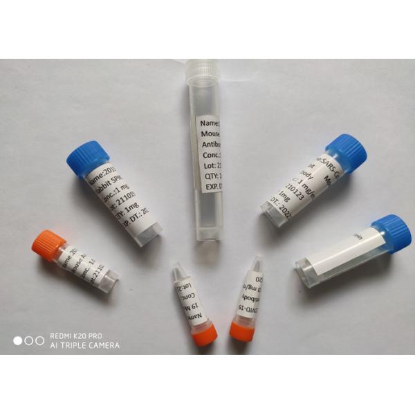 Антитело рекомбинатной мыши COVID 19 моноклональное