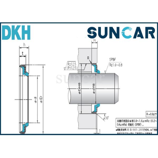 DKH Dust Seal Oil Seals For Hydraulic Cylinder