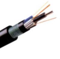 Cabo ótico revestido blindado e dobro da fibra, cabo de fibra ótica exterior GYTY53