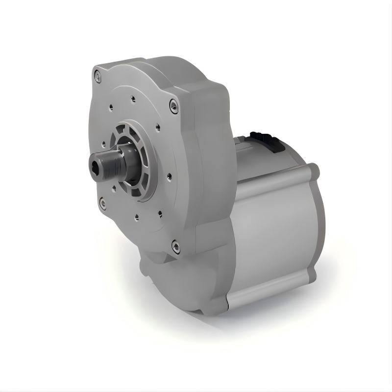 12V-36V Brushless DC Geared Motor 300W-750W for Sweeper Brush Disk Drive