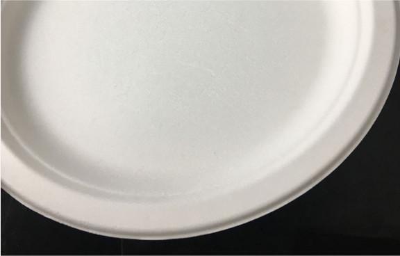6 Inch Bagasse Disposable Dinner Plate for party Compostable Plate