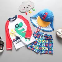 O roupa de banho dos meninos do estilo da caixa ajusta o estudante Split do roupa de banho das crianças do verão
