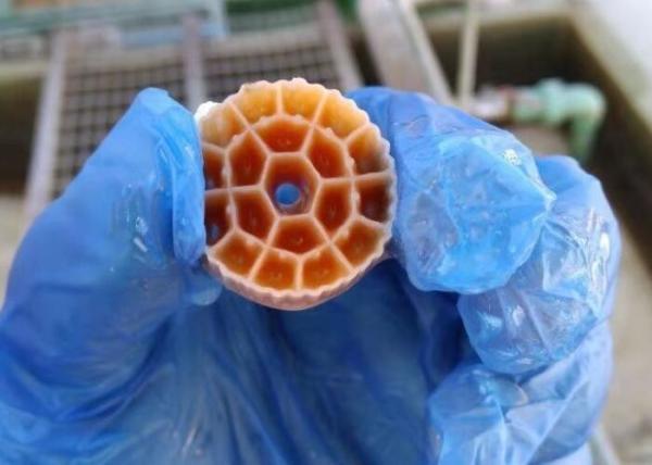 Portador de flutuação da bio embalagem de Wwtp Mbbr das plantas de tratamento de águas residuais 25*12mm