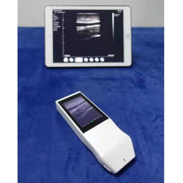 WIFI Wireless Color Probe GYN Ultrasound Linear Probe With Display Anesthesia Puncture Navigation Handheld Ultrasound