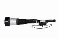 Pneumatic Mercedes Benz Air Suspension Rear shock W221 2213205613