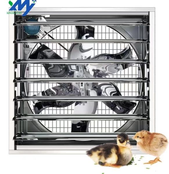 Warehouse Chicken Farm Cooling Poultry Farm Wall Exhaust Fan  Greenhouse Ventilation Fan Heavy Duty Wall Mounted Fan
