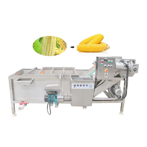Salad Vegetable  Portable Ultrasonic Washing Machine