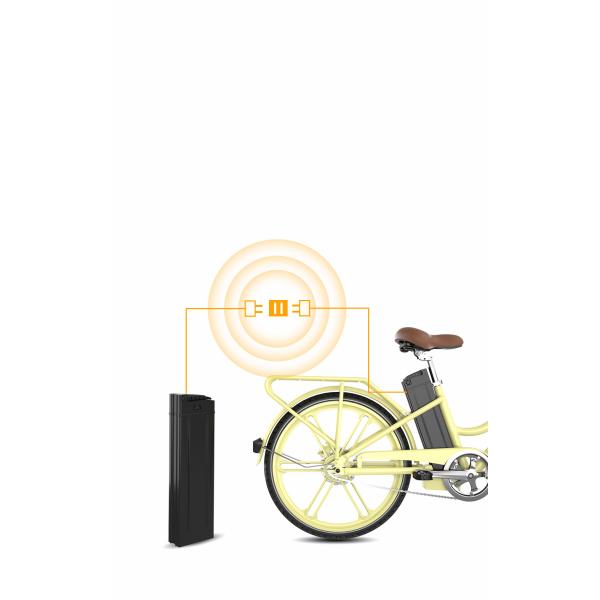 250w Ladies E Bike With Basket 48T Alu Frame , 24x1.75 Electric Women'S Bicycles