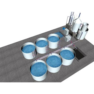 Indoor Ras Fish Farming System Eco Friendly With Hydroponics Compatibility