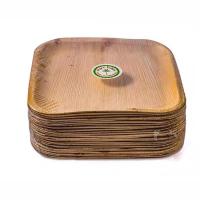 Placas em folha de palmeira da areca quadrada descartável biodegradável de 10 polegadas para eventos incorporados