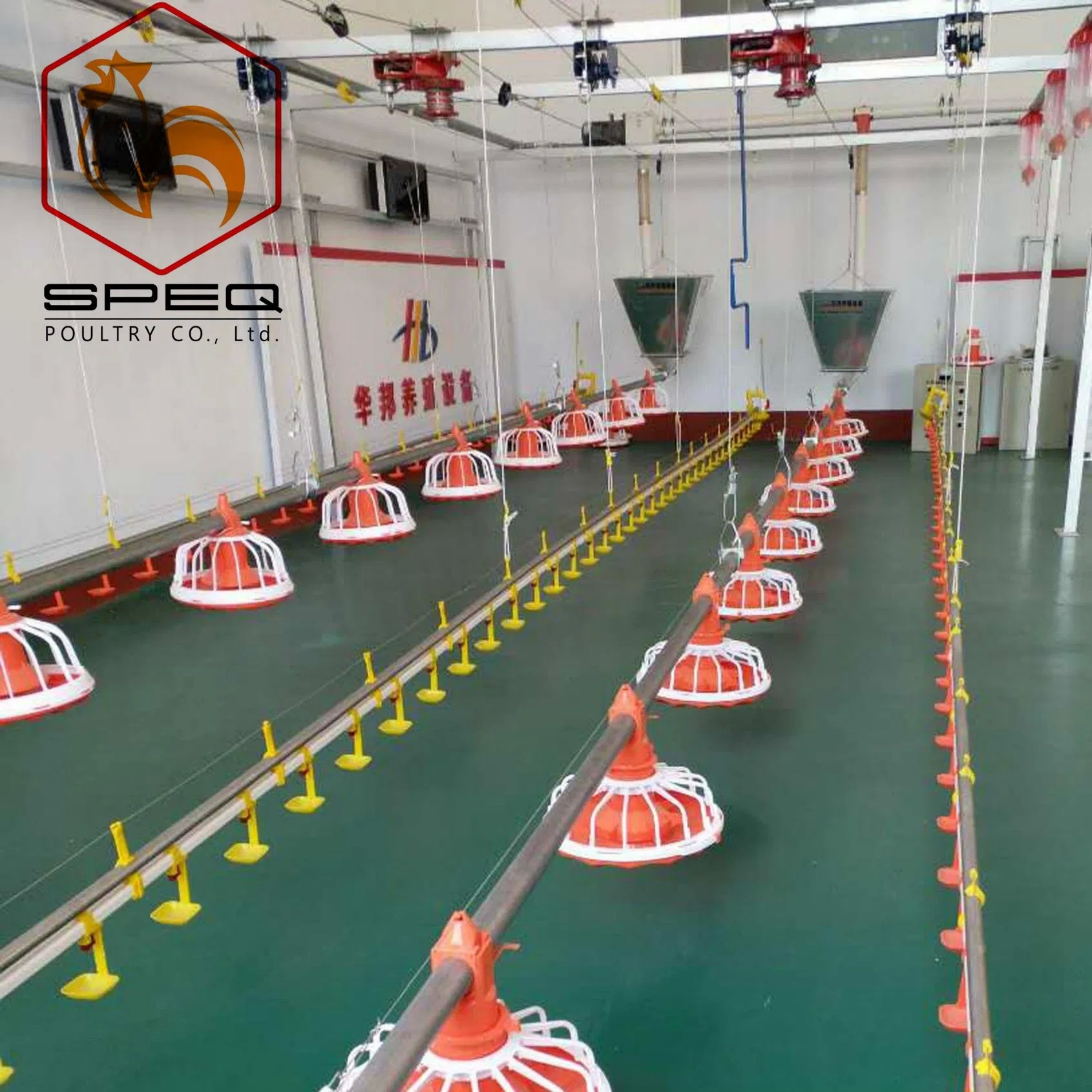 Hygienic Design Automatic Chicken Feeder System Anti Waste For Broiler Farms