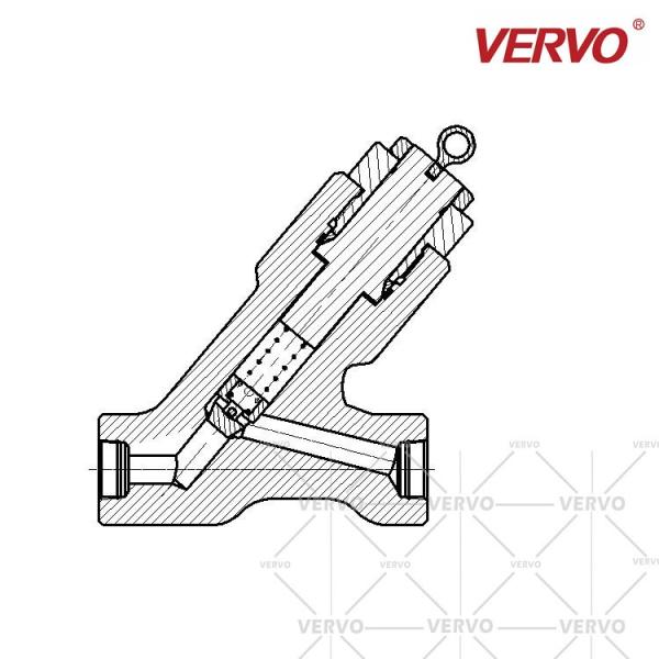 Lift Y Check Valve Stainless Steel F304 Dn15