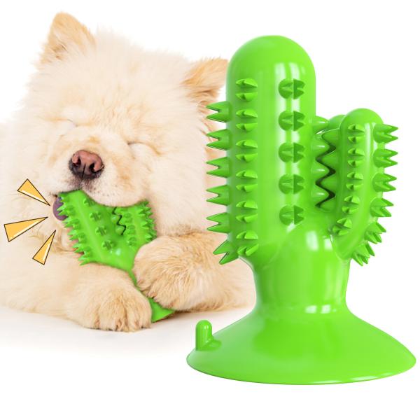 OEM de Toy Squeaky Rubber Relieve Anxiety TPR da mastigação da limpeza dos dentes de cão do cacto