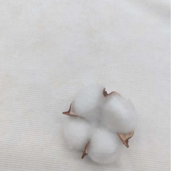 Белая равнина 100% хлопок цвета покрасила ткань для одежды 260gsm спорт