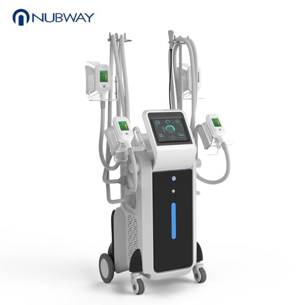 cryolipolysis cool shaping machine cryolipolysis machine price and  4 handles simultaneous powerful cryolipolysis device