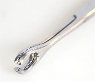 316L Surgical Stainless Steel Sponge Forceps Slotted Piercing Supplies Piercing Tools