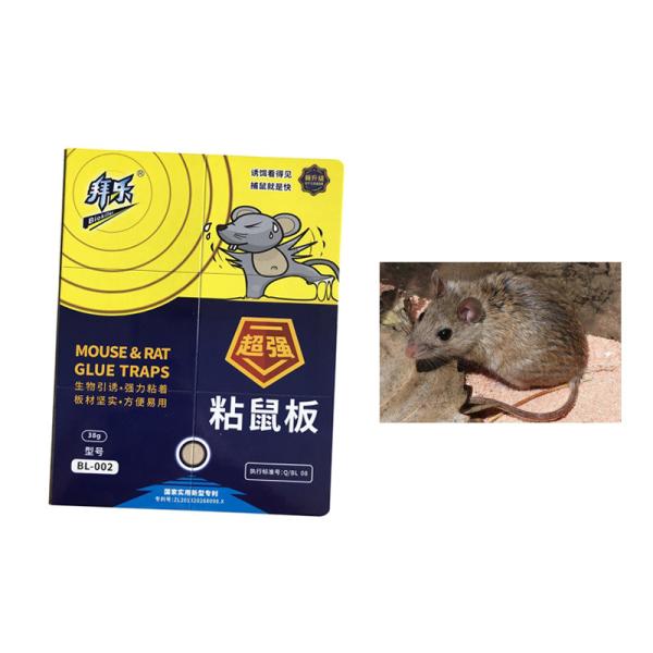Strong Adhesion 40g Glue Double Biological Lure Rodenticide Mouse Trap Indoors